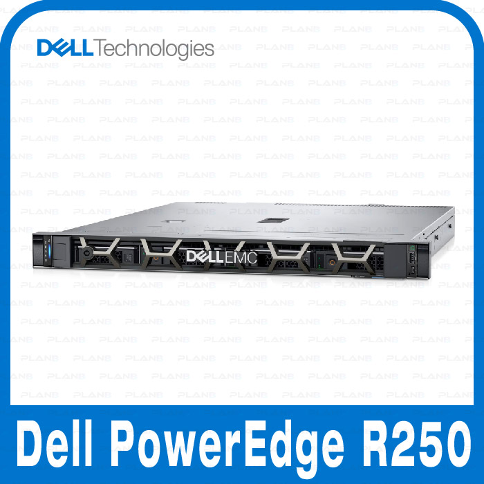 Dell PowerEdge R250 E-2314 8G/1T BTO
